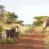 Ubizane Zululand Safari Lodge - 222443