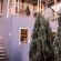 Mon-Ae Guest House Klerksdorp - 222508