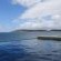 Periwinkle Lodge - 222545