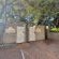 Waterhouse Guest Lodge - 222688