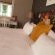 Waterhouse Guest Lodge - 222697