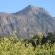 Duikersdrift Winelands Country Escape - 222727
