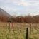 Duikersdrift Winelands Country Escape - 222728