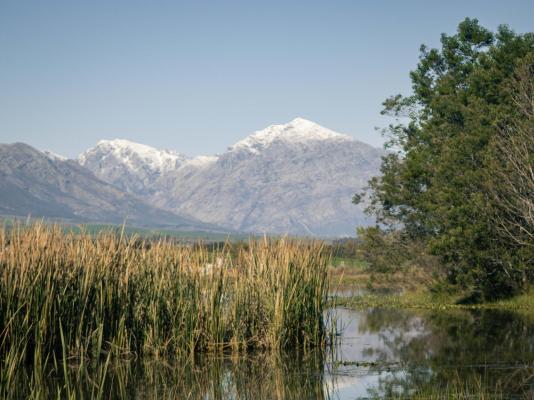 Duikersdrift Winelands Country Escape - 222729