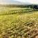 Duikersdrift Winelands Country Escape - 222862