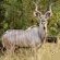 Thaba Manzi Ranch - 222878
