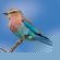Thaba Manzi Ranch - 222879
