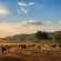 Thaba Manzi Ranch - 222880