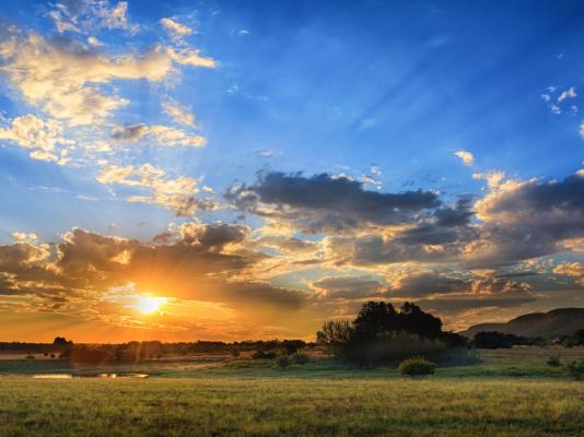 Thaba Manzi Ranch - 222882