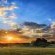 Thaba Manzi Ranch - 222882