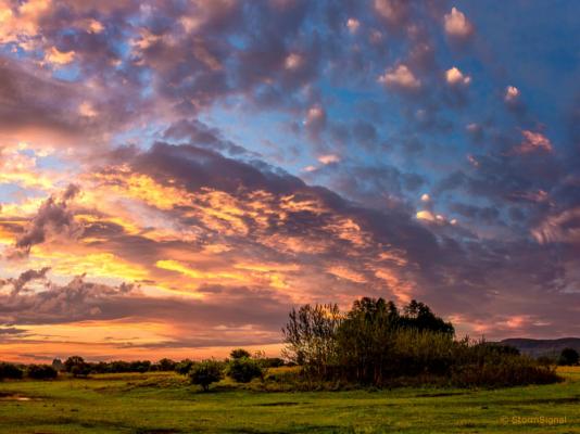 Thaba Manzi Ranch - 222883