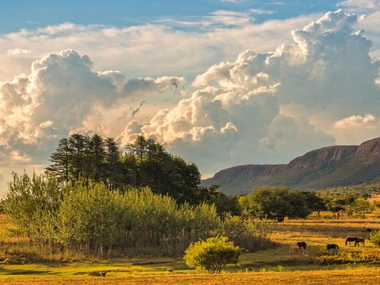 Thaba Manzi Ranch - 222886