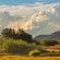 Thaba Manzi Ranch - 222886