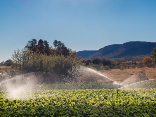 Thaba Manzi Ranch - 222888