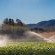 Thaba Manzi Ranch - 222888