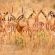 Thaba Manzi Ranch - 222889