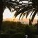 Four Palms Accommodation & Conferencing - 222960
