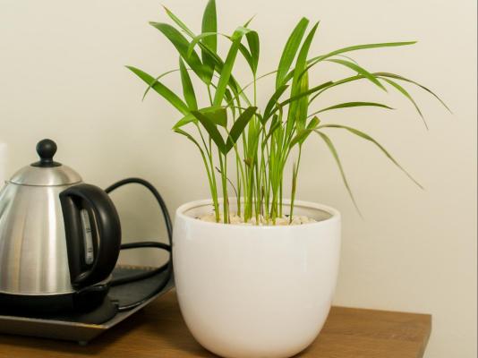 Room image 6