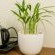 Four Palms Accommodation & Conferencing - 222976