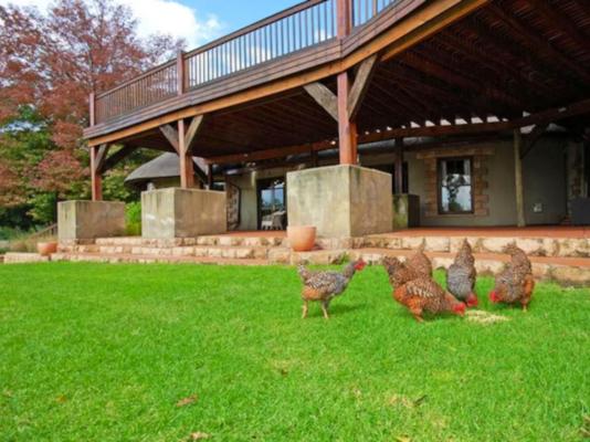 Bankenveld House Bed and Breakfast - 223006
