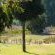 Bankenveld House Bed and Breakfast - 223007