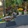 Sunrock Guesthouse - 223115