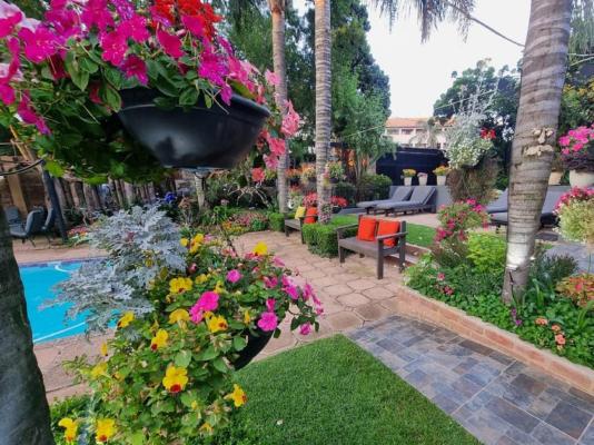 Sunrock Guesthouse - 223118