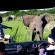 Thula Thula Private Game Reserve - 223614
