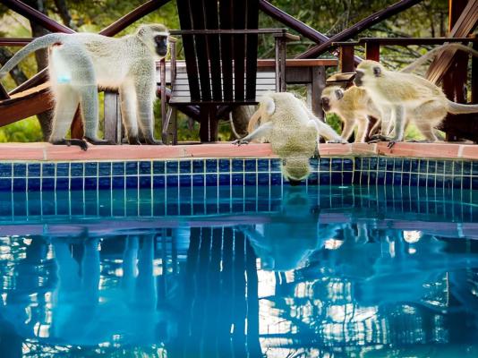 Thula Thula Private Game Reserve - 223615