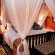 Thula Thula Private Game Reserve - 223632