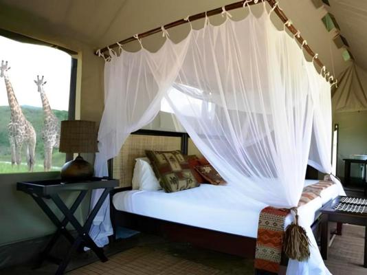Room image 2