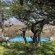 Mountain Peak Game Lodge - 223659