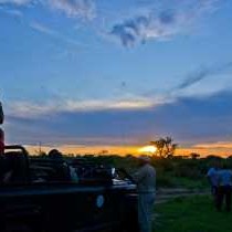 Umlani Bushcamp - 224119