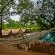 Umlani Bushcamp - 224124