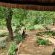 Umlani Bushcamp - 224153