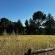 Rusplaas Guest Farm - 224207