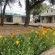 Schuetzenhaus Guesthouse - 224521