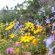 Rondeberg Resort - 224776