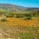 Rondeberg Resort - 224778
