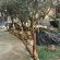 Royale Marlothi Safari Lodge - 224849