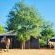 Royale Marlothi Safari Lodge - 224851