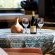 Mountain Haven Villa - 224905