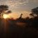 Gamagara Africa Private Nature Reserve - 225034