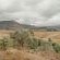 Dragonview Lodge - 225191