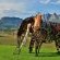 Val du Charron Wine and Leisure Estate Coach House - 225333