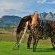 Val du Charron Wine and Leisure Estate Coach House - 225333