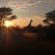 Gamagara Africa Private Nature Reserve - 225406