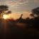 Gamagara Africa Private Nature Reserve - 225406
