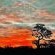 Gamagara Africa Private Nature Reserve - 225417