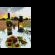 Gamagara Africa Private Nature Reserve - 225435